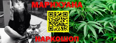 амф Новозыбков
